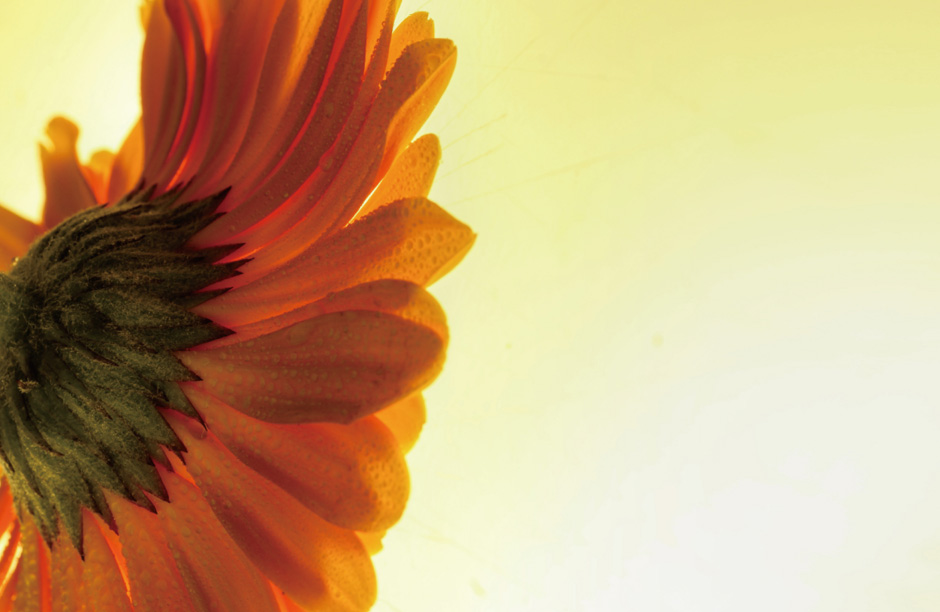 Bootstrap Touch Slider